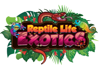 Reptile Life Exotics logo design by SiliaD