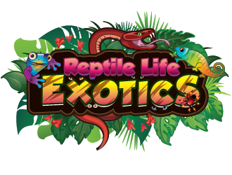 Reptile Life Exotics logo design by SiliaD