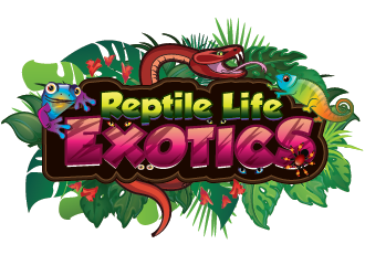 Reptile Life Exotics logo design by SiliaD