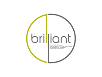 BRILLIANT logo design by Raden79