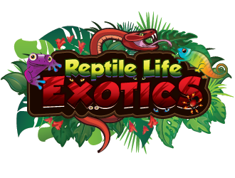 Reptile Life Exotics logo design by SiliaD