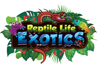 Reptile Life Exotics logo design by SiliaD