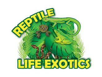 Reptile Life Exotics logo design by nona