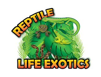 Reptile Life Exotics logo design by nona