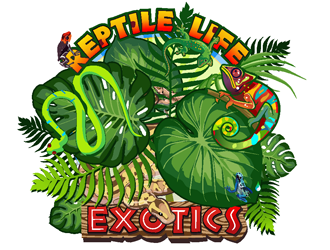 Reptile Life Exotics logo design by coco