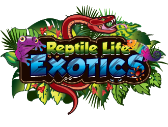 Reptile Life Exotics logo design by SiliaD