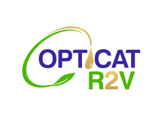 OptiCat R2V logo design by BeDesign