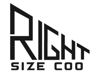 Right-Size COO logo design by MonkDesign