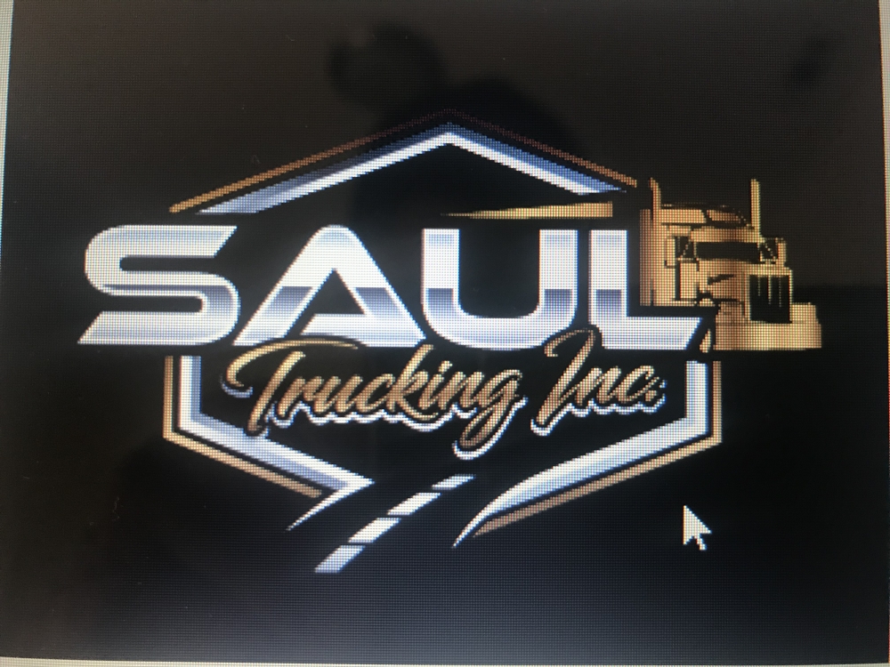 Palacios Transport logo design - 48hourslogo.com