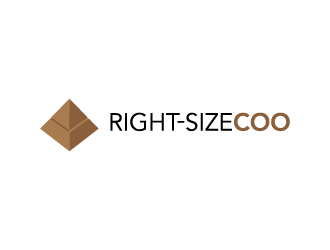 Right-Size COO logo design by enan+graphics