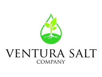 Ventura Salt Company logo design by jetzu