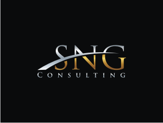 SNG Consulting logo design by bricton