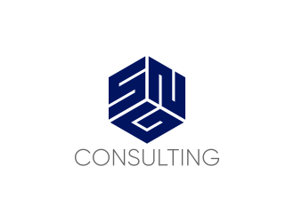 SNG Consulting logo design by pakNton