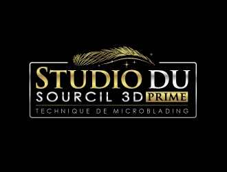 Studio du Sourcil 3D  logo design by nexgen