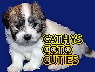 Cathys Coton Cuties logo design by XyloParadise