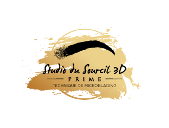 Studio du Sourcil 3D  logo design by torresace