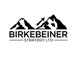 Birkebeiner Strategy Ltd logo design by iamjason