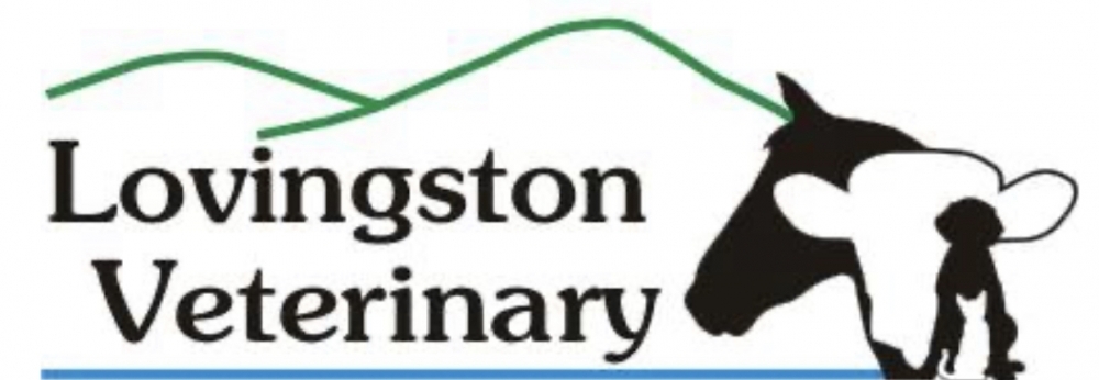 Lovingston Veterinary Hospital logo design - 48hourslogo.com