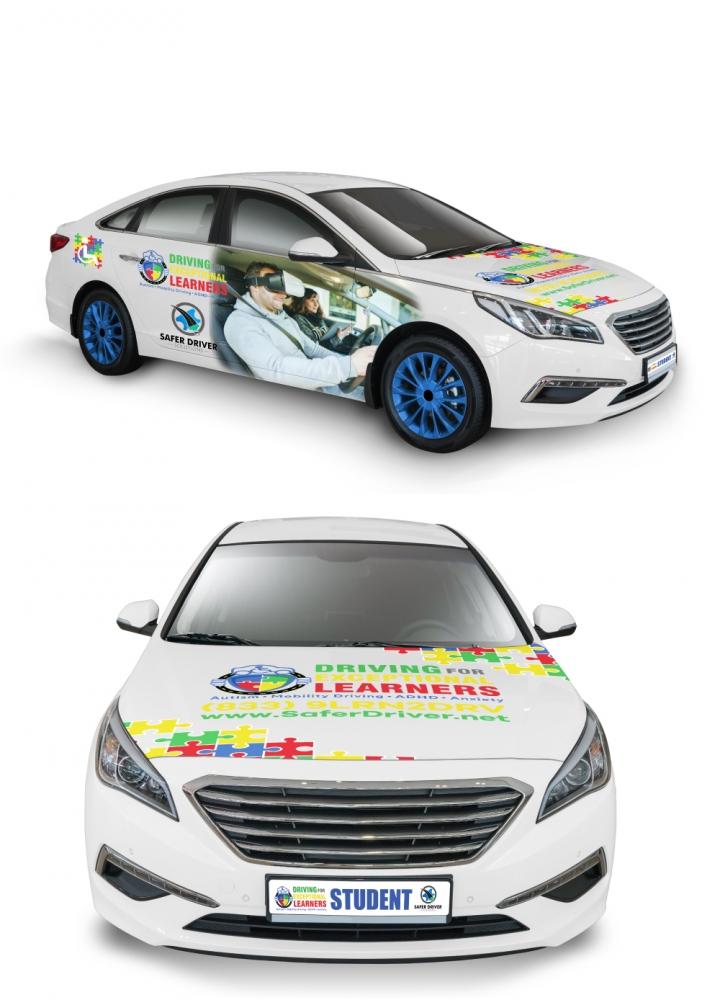 Driving with Special Needs logo design by LogOExperT