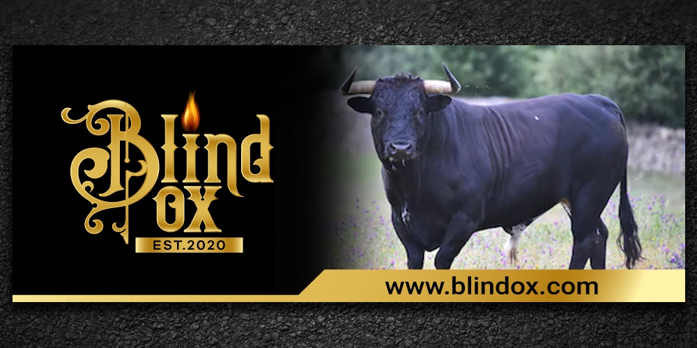 Blind Ox logo design by Boomstudioz