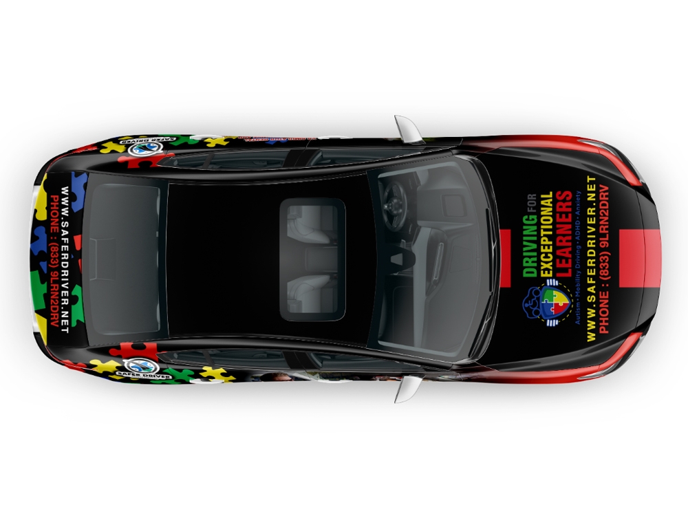 Driving with Special Needs logo design by Realistis