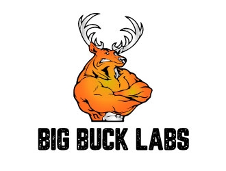 BIG BUCK LABS logo design by AYATA