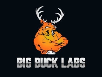 BIG BUCK LABS logo design by AYATA