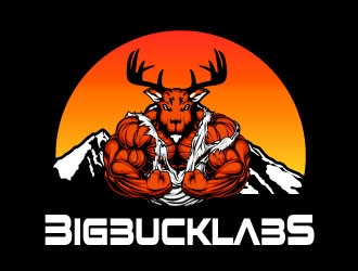 BIG BUCK LABS logo design by AYATA