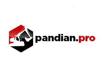 pandian.pro logo design by THOR_