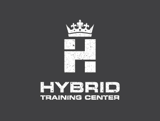 Hybrid Training Center logo design by cybil
