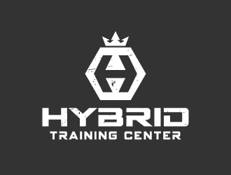 Hybrid Training Center logo design by akilis13