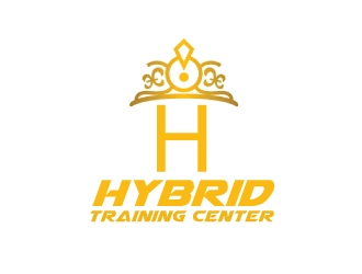 Hybrid Training Center logo design by AamirKhan