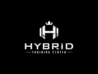 Hybrid Training Center logo design by jaize
