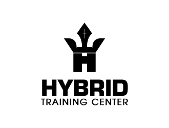 Hybrid Training Center logo design by AamirKhan