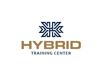 Hybrid Training Center logo design by mmyousuf