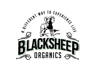  logo design by Rachel