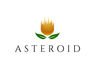 Asteroid logo design by MagnetDesign