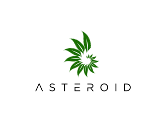 Asteroid logo design by MagnetDesign