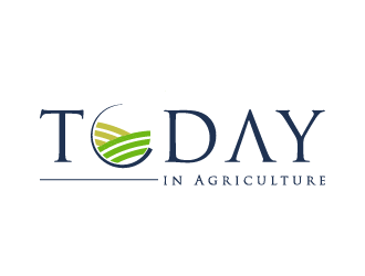  logo design by jafar