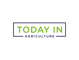  logo design by ammad