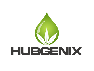 Hubgenix logo design by kunejo