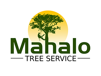  logo design by 3Dlogos