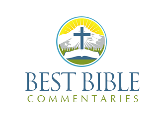 Best Bible Commentaries logo design by kunejo