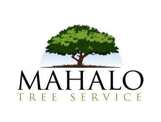  logo design by AamirKhan