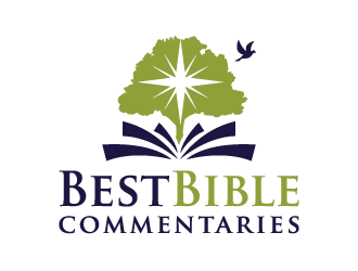 Best Bible Commentaries logo design by akilis13