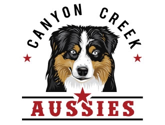 cannon creek aussies