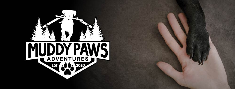 Muddy Paws Adventures logo design by bulatITA