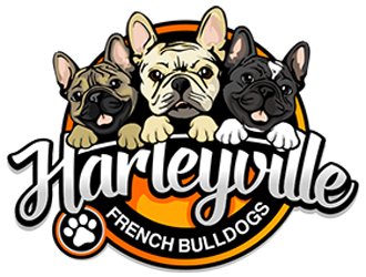 Harleyville French Bulldogs logo design by veron