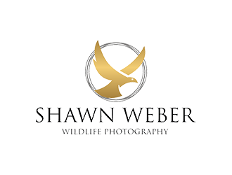 Shawn Weber Wildlife Photography logo design by EkoBooM
