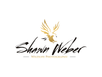 Shawn Weber Wildlife Photography logo design by cintya
